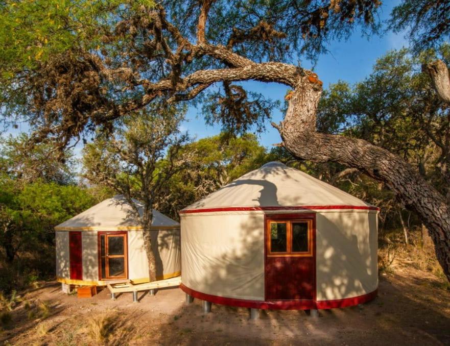eine Jurte mit einer Bank unter einem Baum in der Unterkunft Traslasierra Nono Balneario paso de las tropas in Las Calles