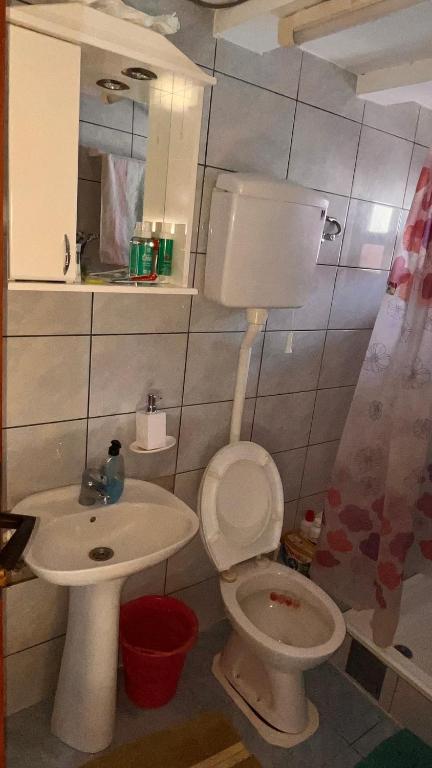 Koupelna v ubytování Etno dom Bubalo