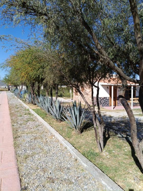 Zahrada ubytování Cabañas Los Olivos