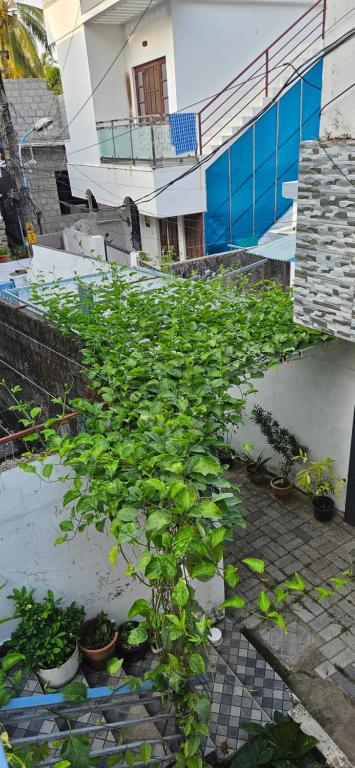 Giardino di Garden Of Dreams Home stay