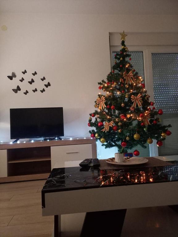 TV a/nebo společenská místnost v ubytování Apartman Nikolic
