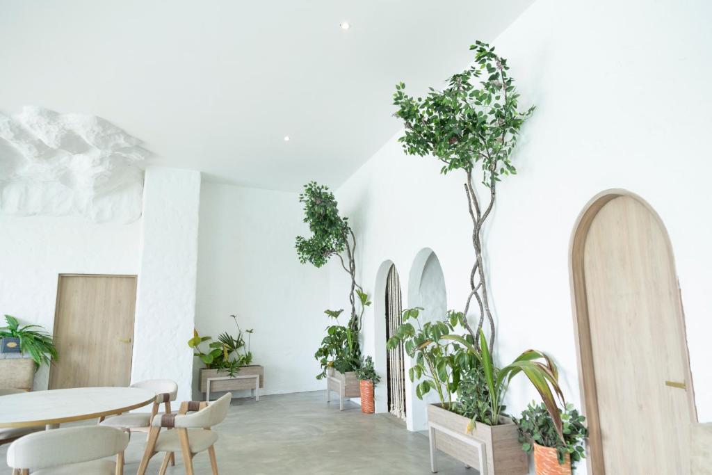 Zahrada ubytování MYLOS Hotel Boutique