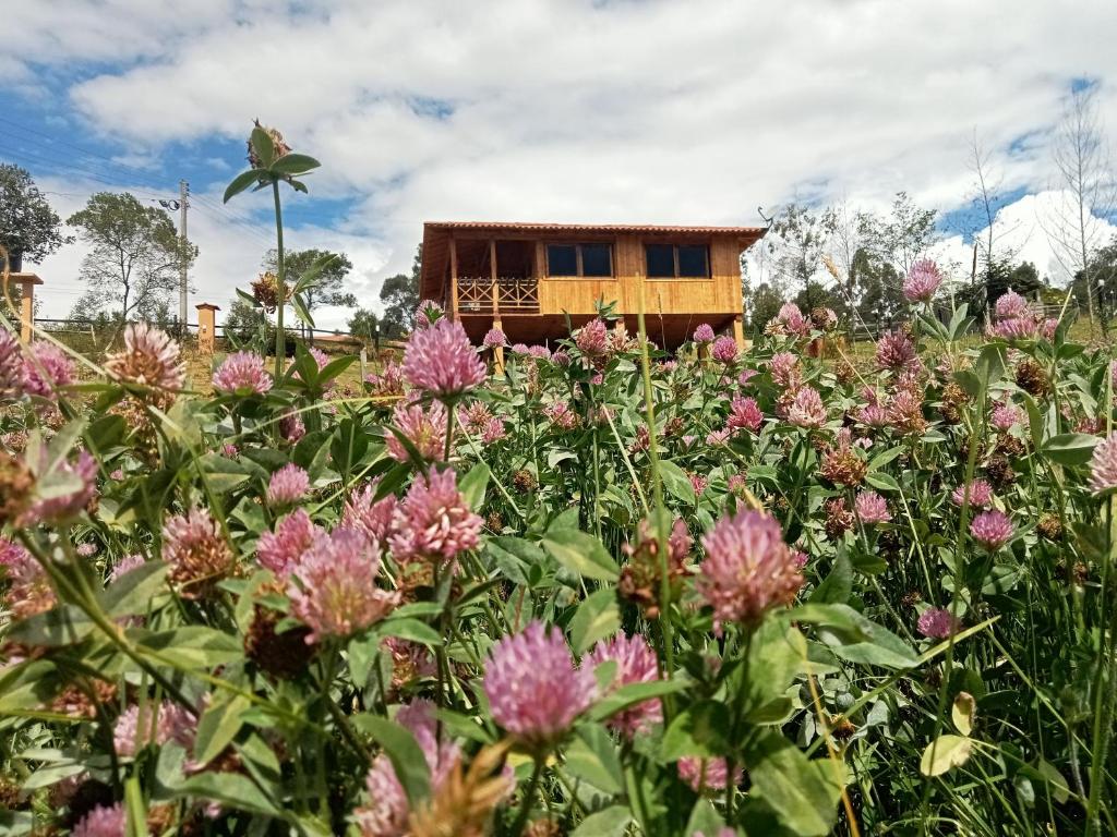 Taman di luar Cabaña Colibri