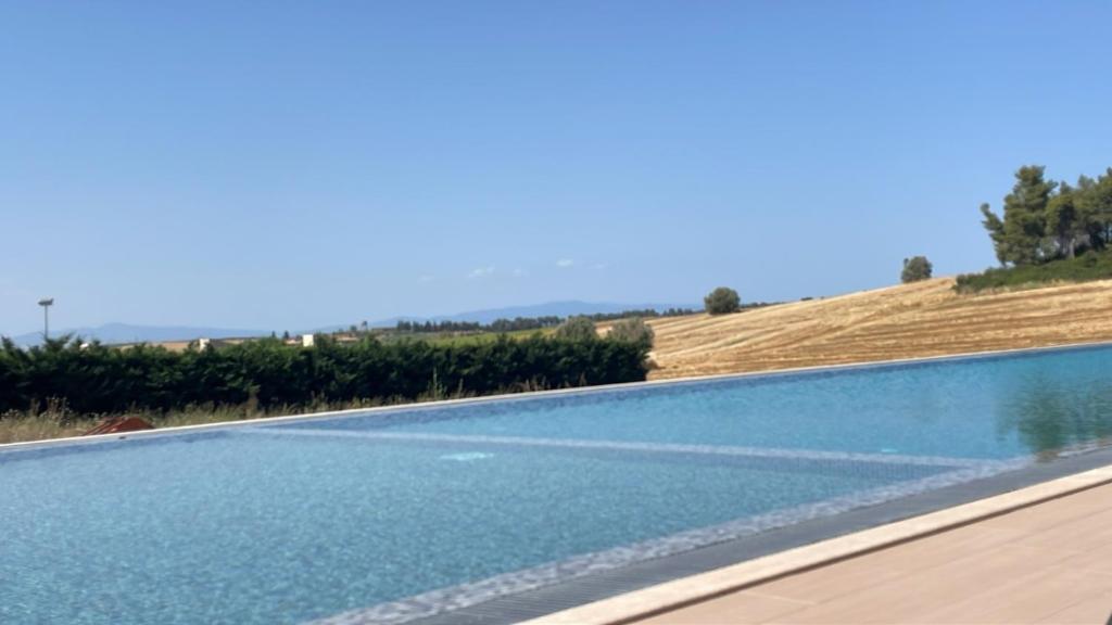a swimming pool in front of a vineyard at Oikos Sani Suites in Sani Beach