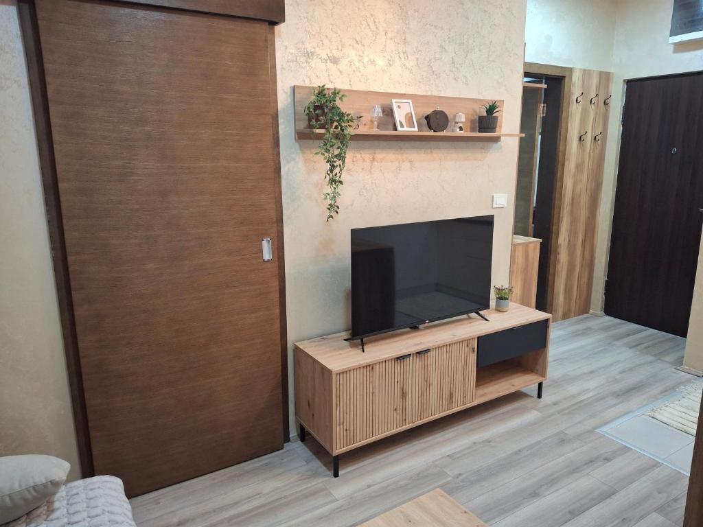 TV a/nebo společenská místnost v ubytování Apartmani Marjanovic Akva park Jagodina
