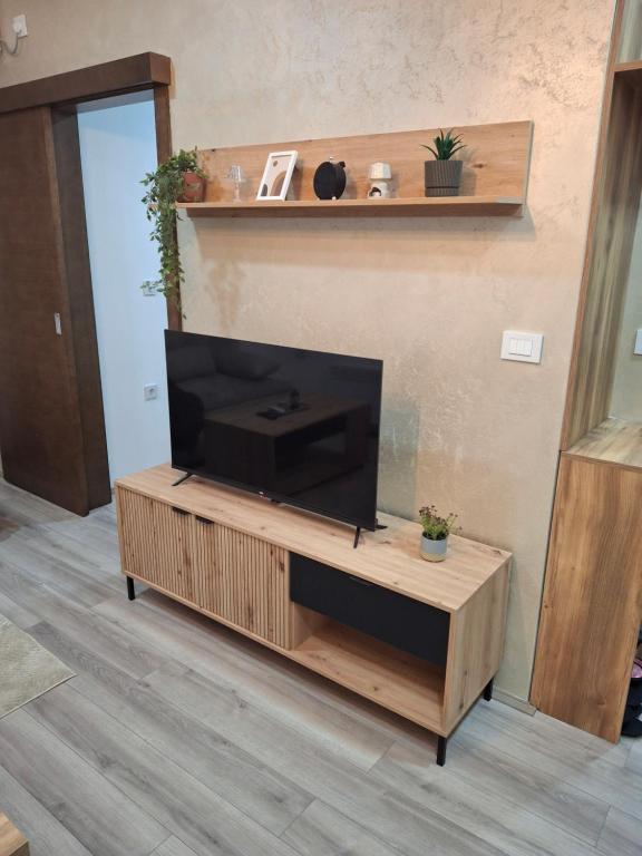 TV a/nebo společenská místnost v ubytování Apartmani Marjanovic Akva park Jagodina
