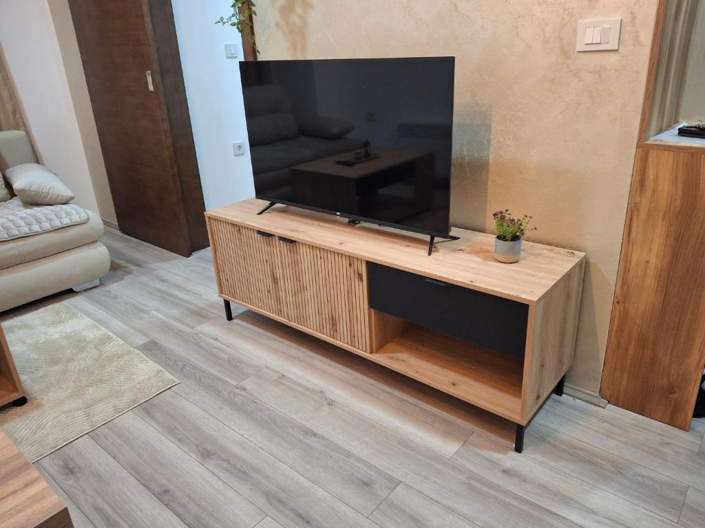 TV a/nebo společenská místnost v ubytování Apartmani Marjanovic Akva park Jagodina