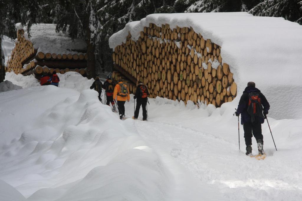 Obiekt Gasthof Edelweiss zimą