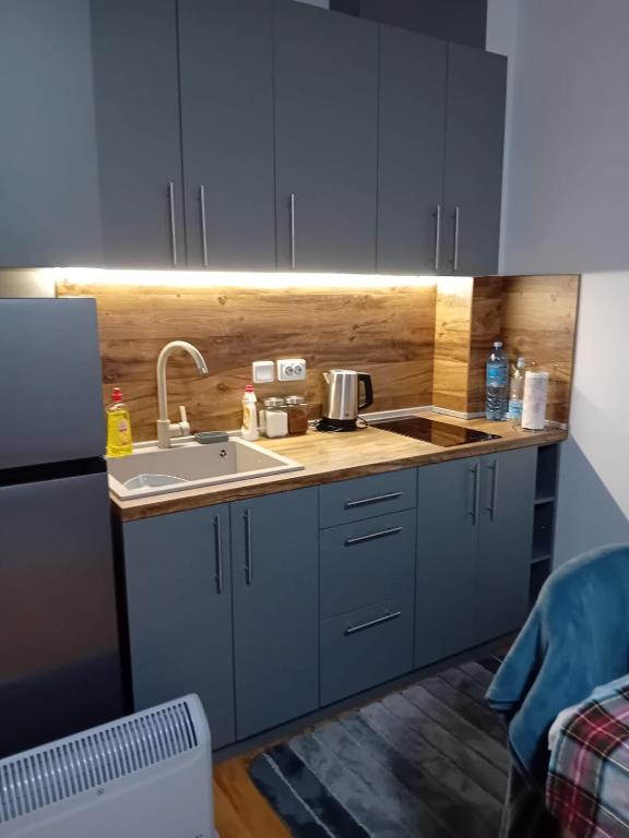 Kuchyň nebo kuchyňský kout v ubytování Mountain view Lux Apartment