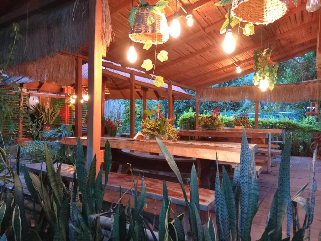 Zahrada ubytování Villa Sonia Eco-Hostel