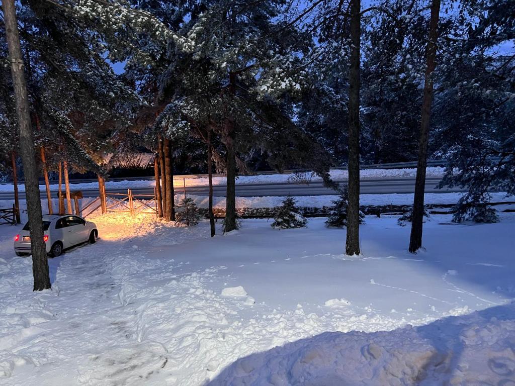 Vikendica Martinović im Winter