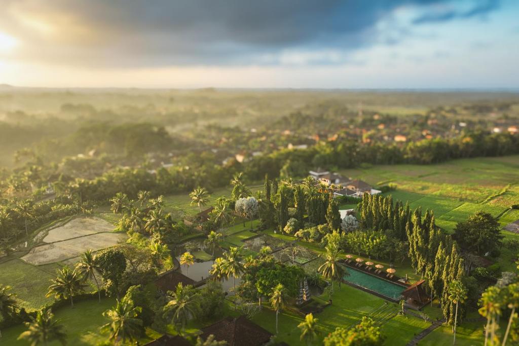 TOP 10 Mejores Hoteles de Lujo en Ubud, Bali 628547440