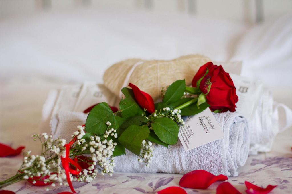 Fotografie z fotogalerie ubytování B&B Happiness - City Center v destinaci Verona