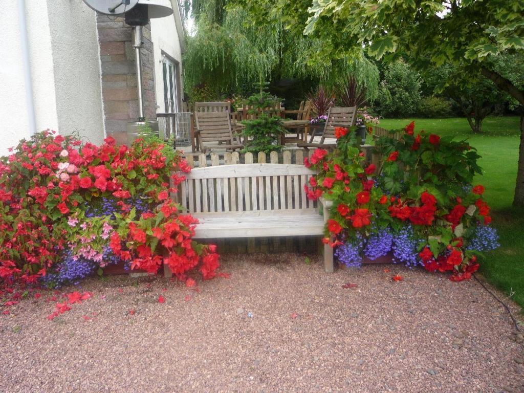 a white bench sitting next to some red and blue flowers at Westacre Bed & Breakfast in Crieff