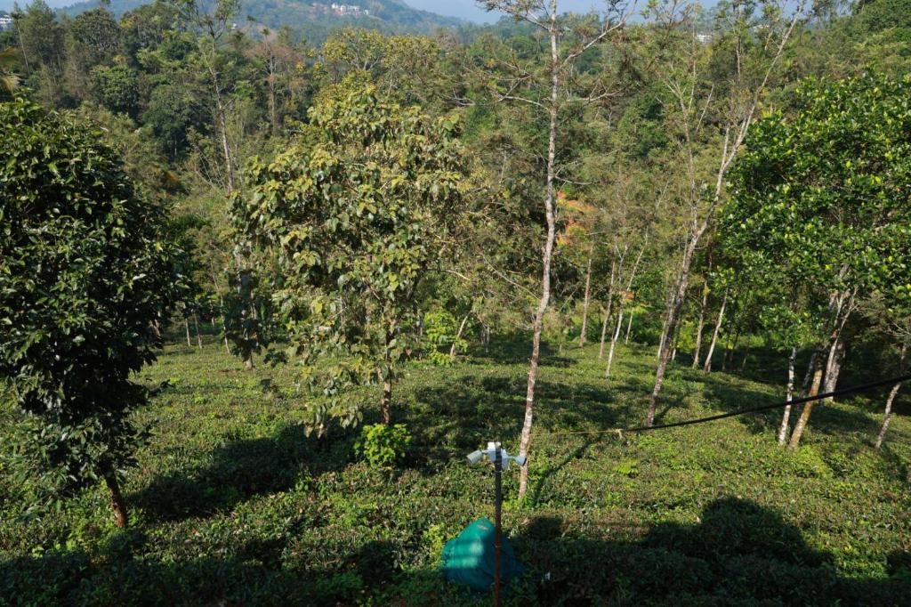 Fotografie z fotogalerie ubytování Munnar Ethan's Valley v destinaci Munnar