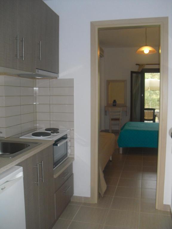 Kuchyňa alebo kuchynka v ubytovaní Guesthouse Irene