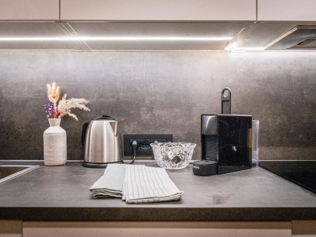 Príslušenstvo na prípravu kávy alebo čaju v ubytovaní Bergblick Apartment in Zentrumsnähe mit Garage