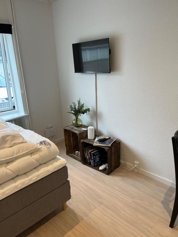 TV a/nebo společenská místnost v ubytování Billund Mini Hostel room 15