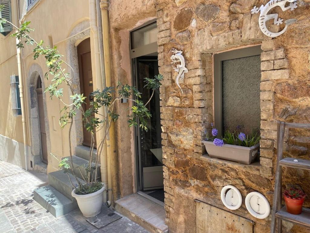 un bâtiment en pierre avec une fenêtre ornée de plantes dans l'établissement Superbe et atypique F2 Suquet Centre Cannes, à Cannes
