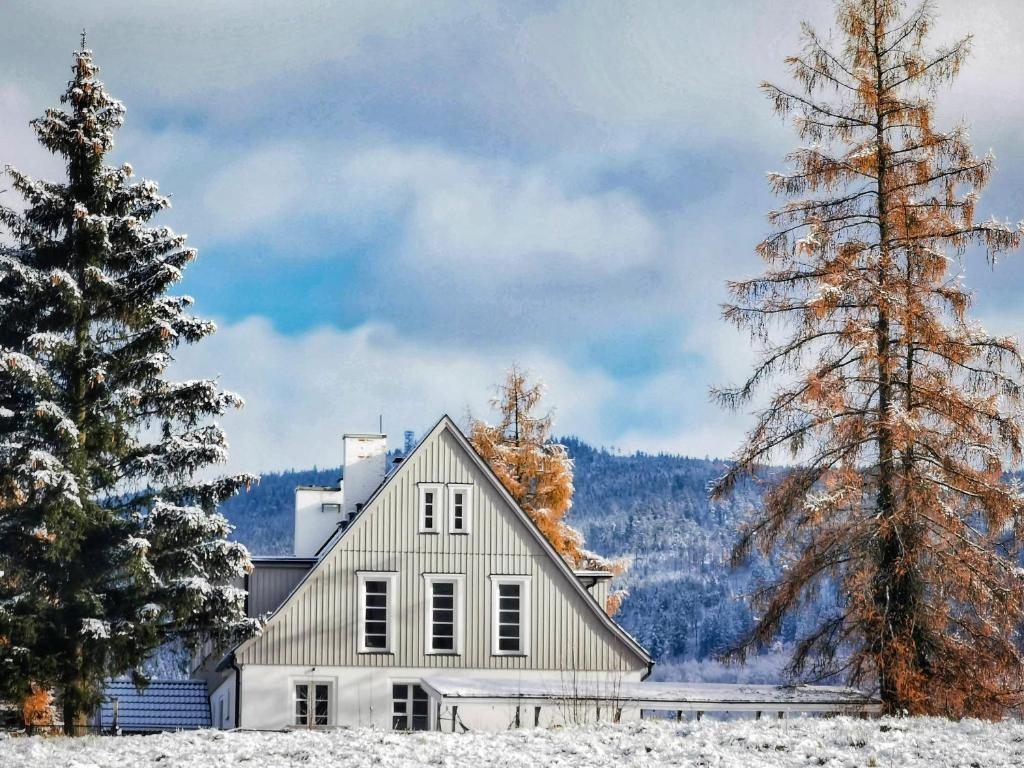 a white house in the snow with trees at Butikowe apartamenty w Sudetach - TRZY MORZA - pod górą Trójmorski Wierch in Jodłów