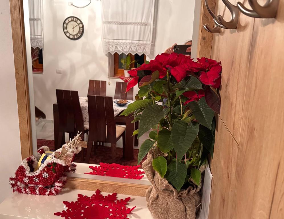 Fotografie z fotogalerie ubytování Mezini Guest House v destinaci Gjirokastër