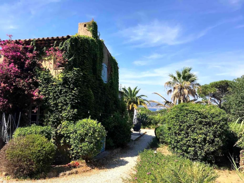 un bâtiment recouvert de lierre avec des arbres et des buissons dans l'établissement Maison Gassin - SaintTropez, à Saint-Tropez