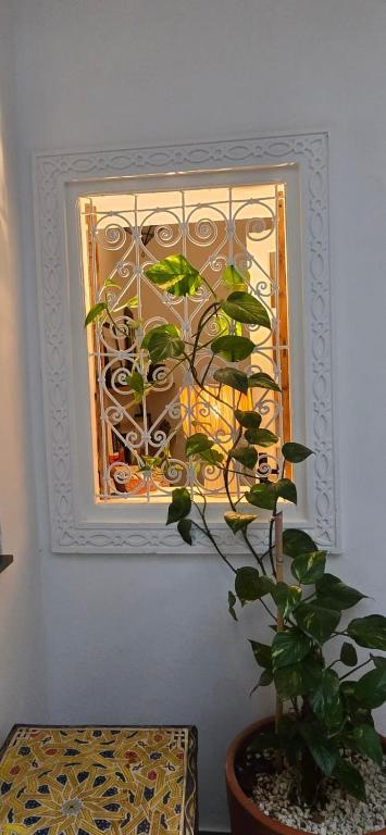 Zahrada ubytování La Maison des Amis