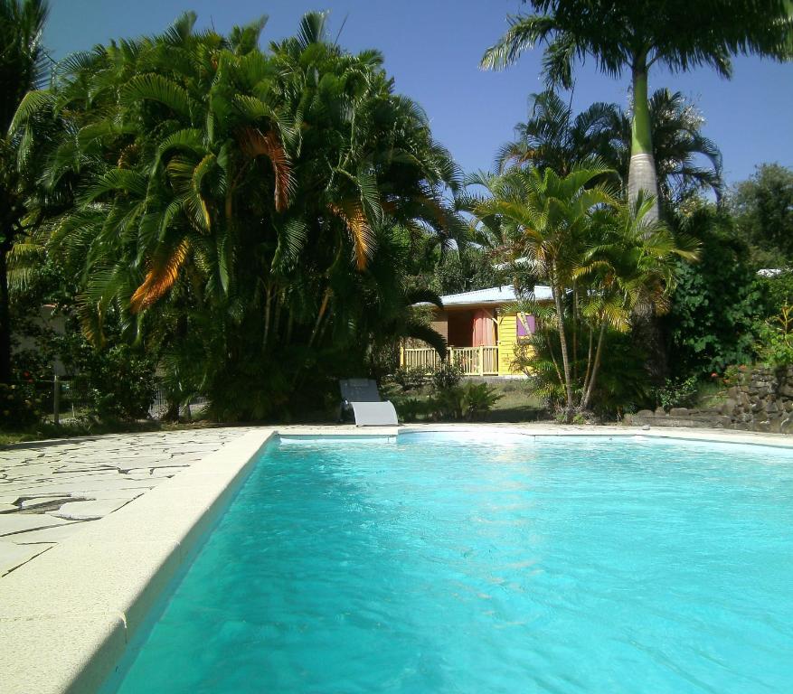 a swimming pool with blue water and palm trees at Vacances Bien Etre Guadeloupe in Bouillante