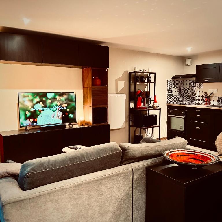 un salon avec un canapé et une télévision dans l'établissement Le 23 Factory - RDC - Proche gare et centre - Wifi, à Feurs