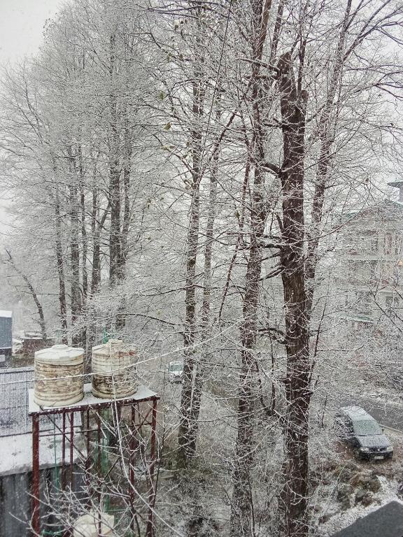 SkyWay HomeStay v zimě