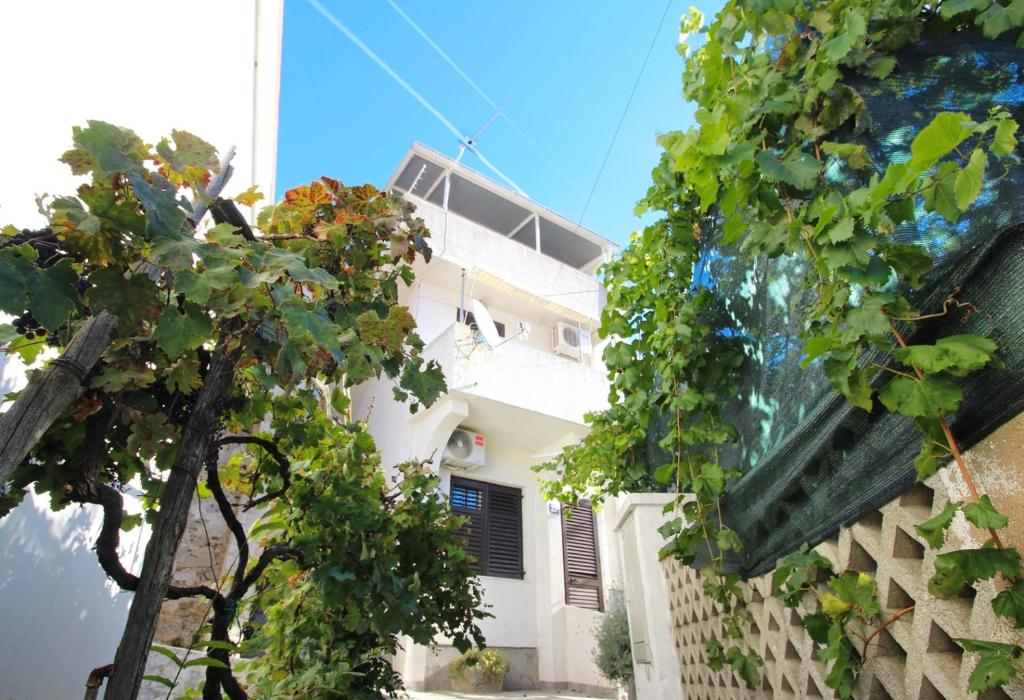 Zahrada ubytování Apartments Bugi
