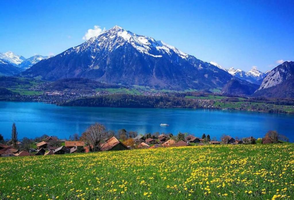 Paesaggio naturale nelle vicinanze dello chalet