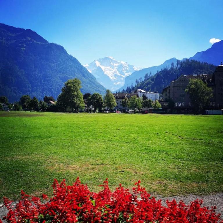 Paesaggio naturale nelle vicinanze dello chalet