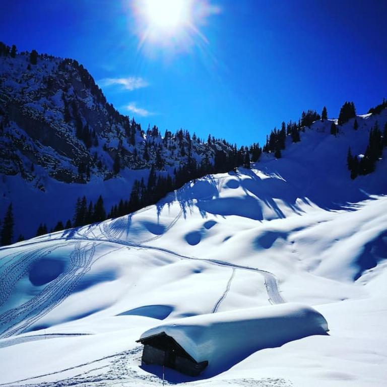 SwissHut Stunning Views Alps - Apart. Mungge v zimě