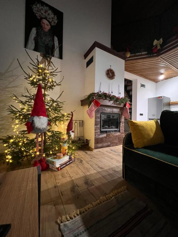 Kuchyň nebo kuchyňský kout v ubytování Villa Pelahia