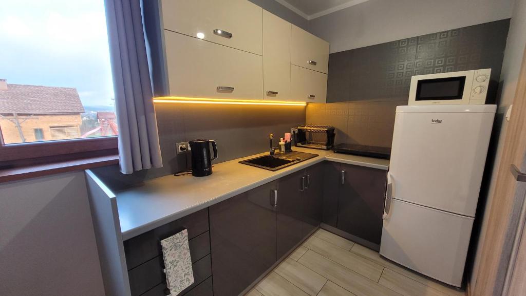 Kuchyňa alebo kuchynka v ubytovaní Wrzosowe Wzgórze Apartamenty