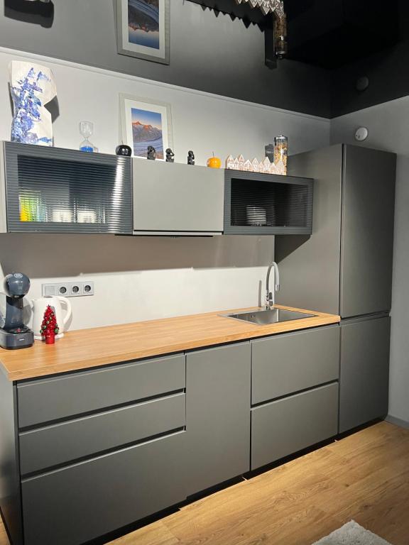 Kuchyň nebo kuchyňský kout v ubytování Appartment Pruhonice & terrace
