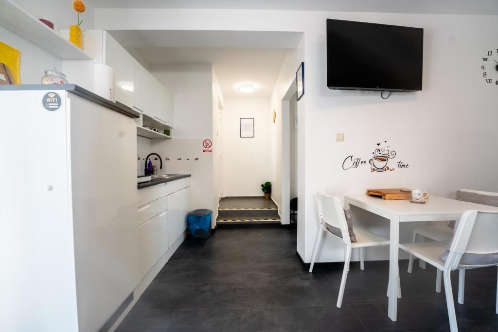Kuchyň nebo kuchyňský kout v ubytování Studio Apartman Smiley