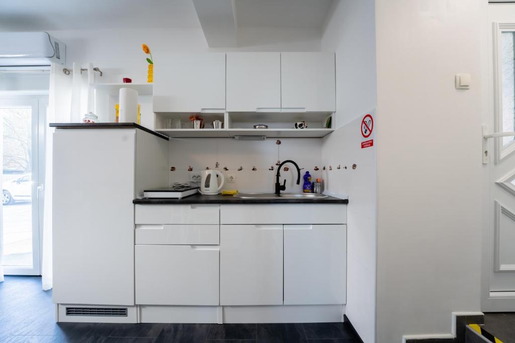 Kuchyň nebo kuchyňský kout v ubytování Studio Apartman Smiley