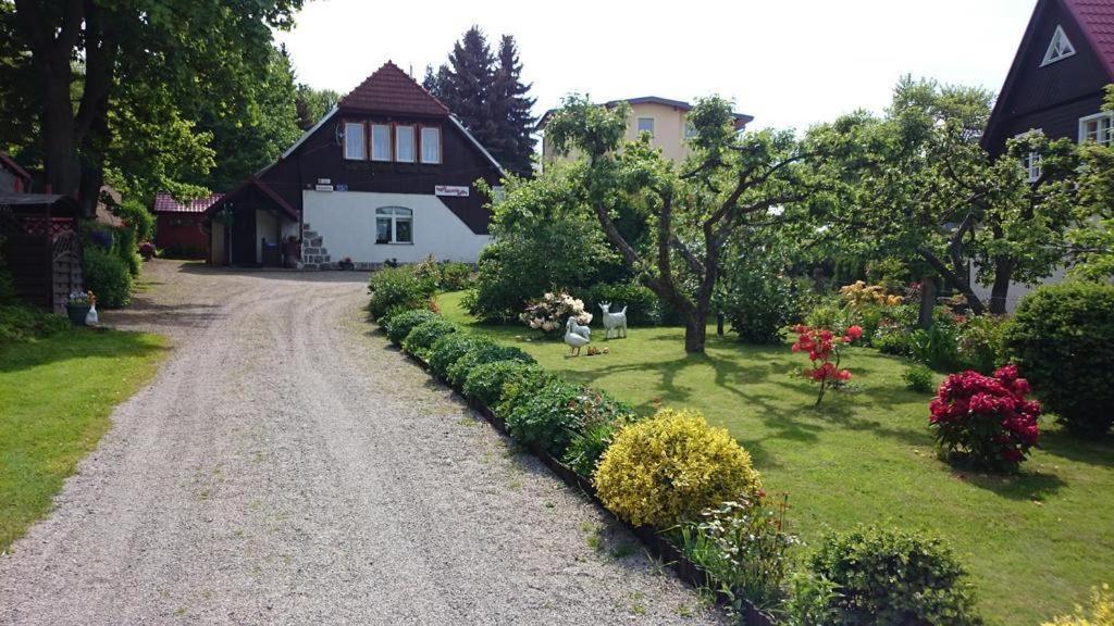 a dirt road in front of a house with flowers at Pokoje Gościnne Mirena in Karpacz