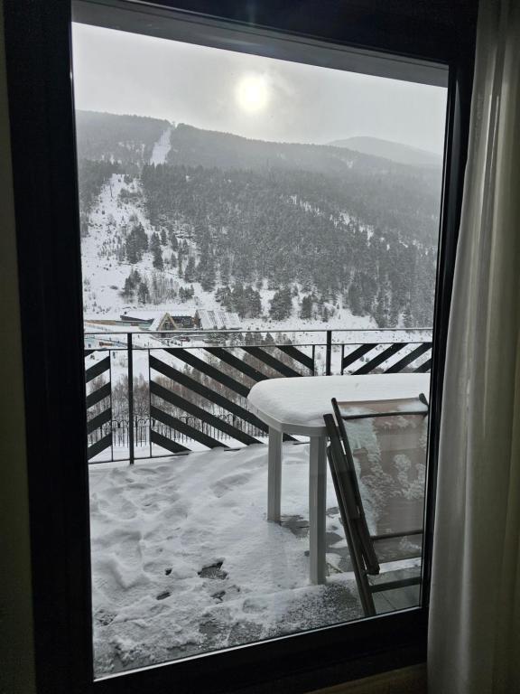 Příroda nedaleko apartmánu