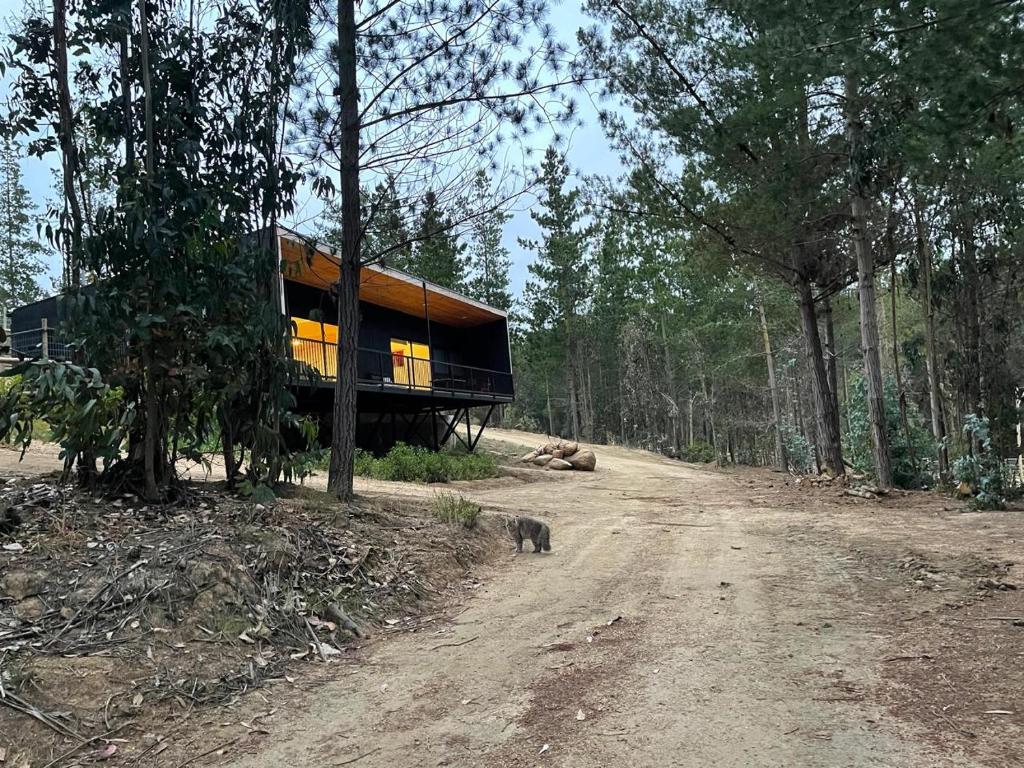 Gallery image of Hermosa casa en el bosque in Algarrobo