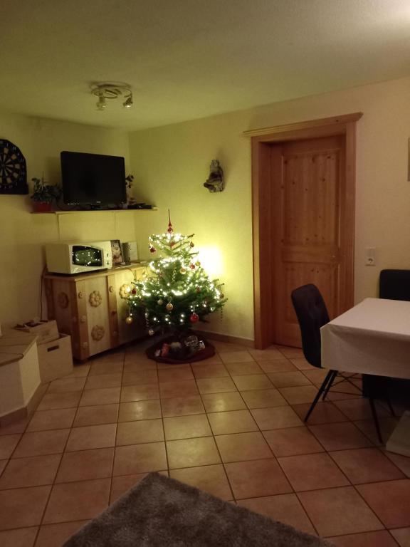 Kuchyň nebo kuchyňský kout v ubytování Haus Marija