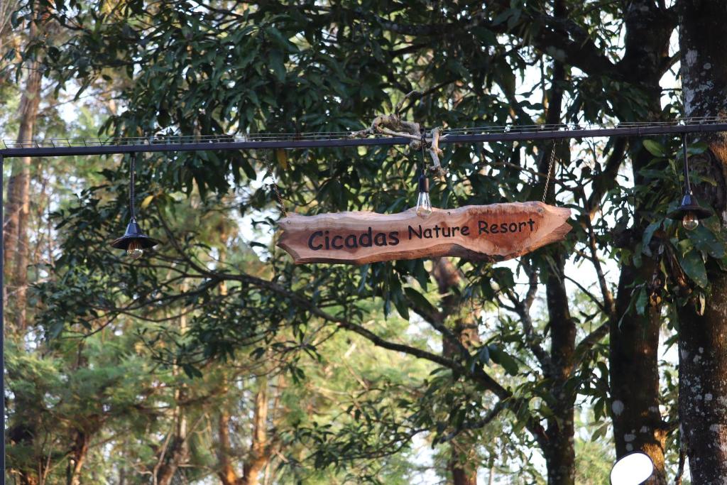 Certifikát, hodnocení, plakát nebo jiný dokument vystavený v ubytování Cicadas Nature Resort - A Frame cottages