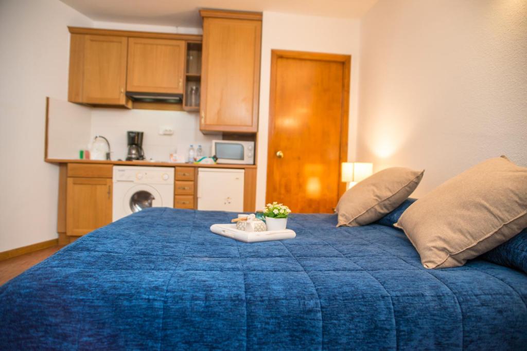 Aparthotel Ona el Tarter - Estudio
