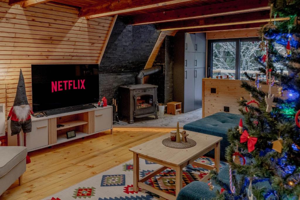 TV a/nebo společenská místnost v ubytování Viktorija chalet