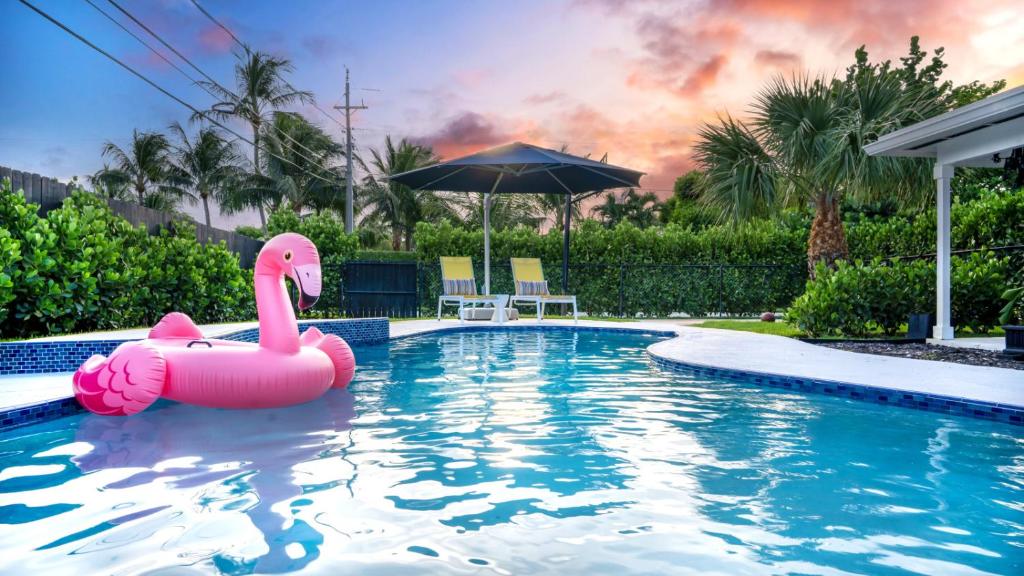 un flamenco rosa inflable en una piscina en Sunray Stays Delray Beach, en Delray Beach