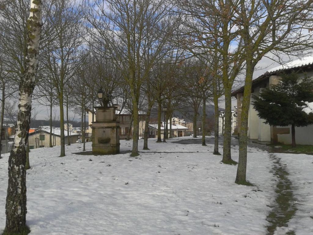 Apartamento Rural Arluzepe en invierno