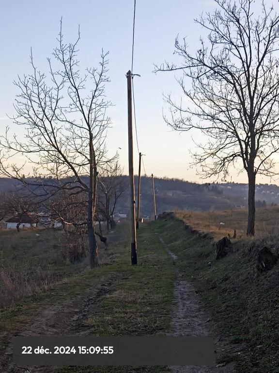 Příroda nedaleko apartmánu