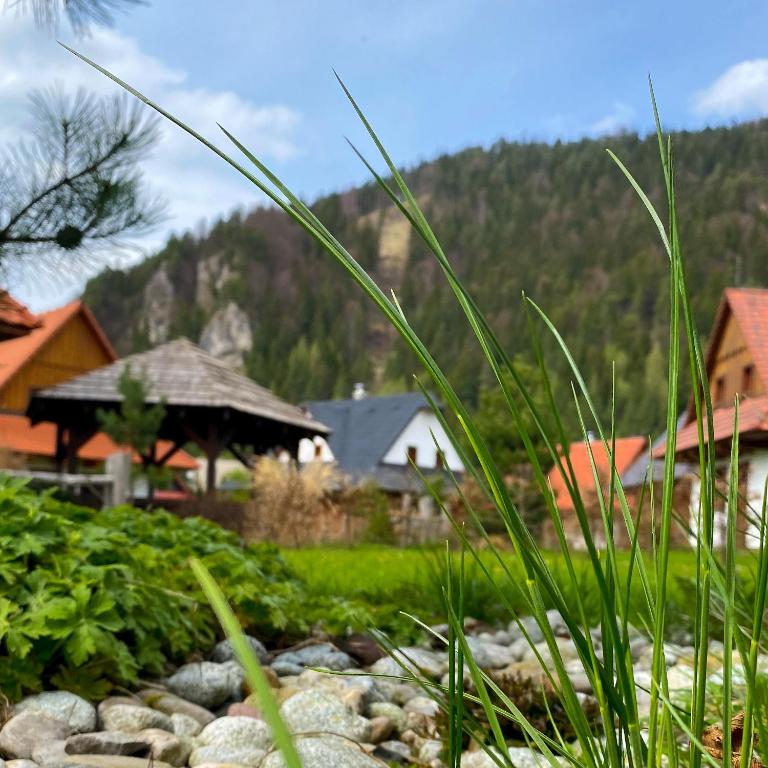Příroda nedaleko bed and breakfast